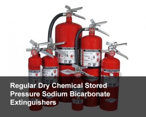 Regular Dry Chemical Stored Pressure Sodium Bicarbonate Extinguishers